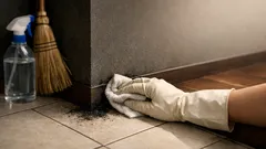 玄関掃除は水で流さないが正解、ホコリ主役の5ステップで黒ずみまでスッキリ
